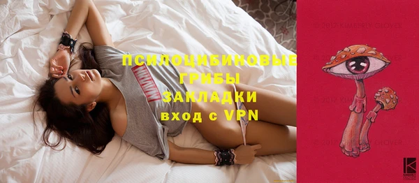 мдпв Каменск-Шахтинский