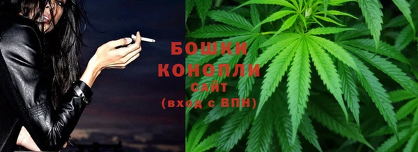 дживик Каменногорск