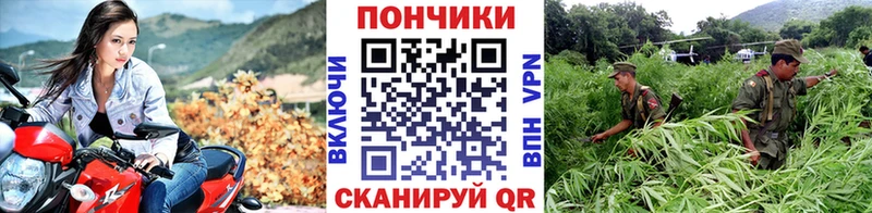 Каннабис White Widow  Купить где  Чистополь 